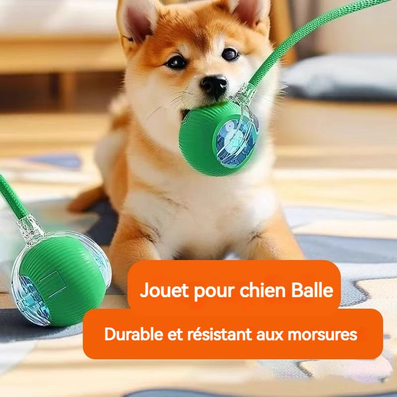 VIDA - DOG BALL
