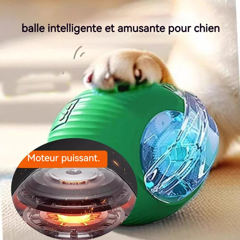 VIDA - DOG BALL