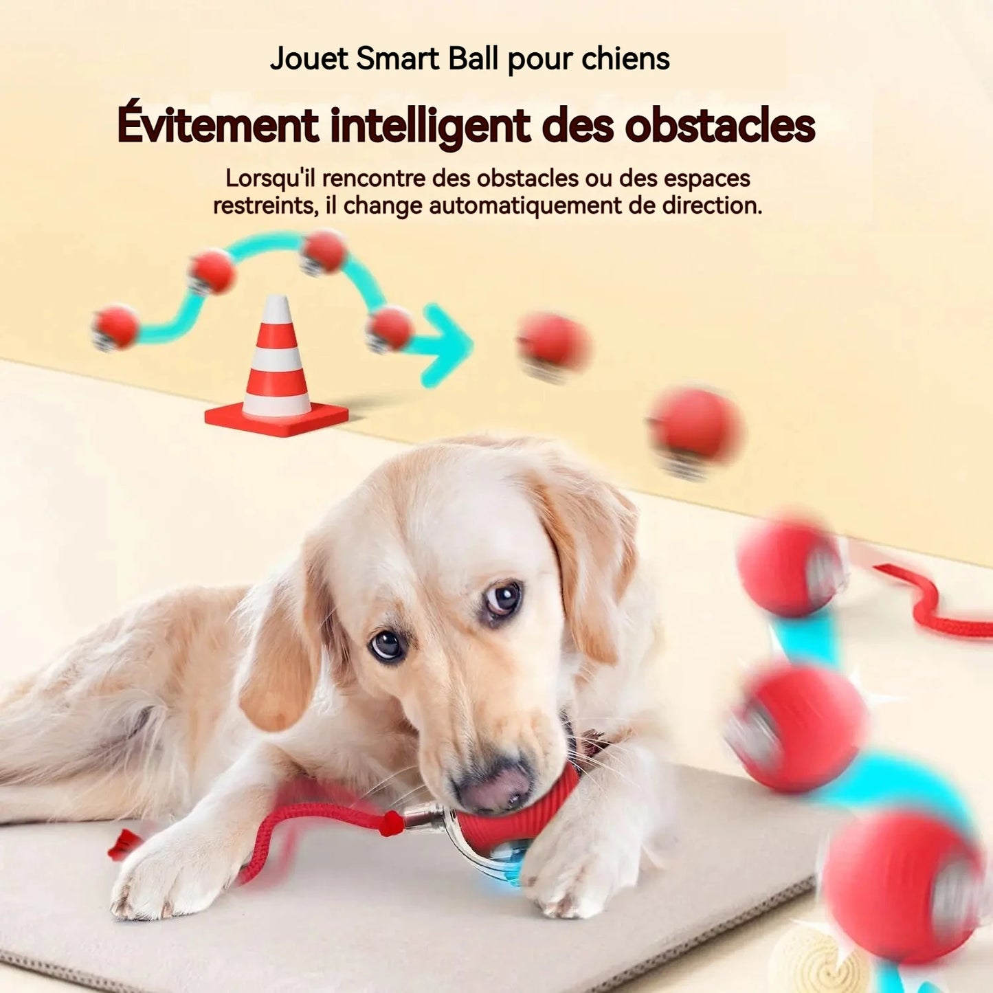 VIDA - DOG BALL