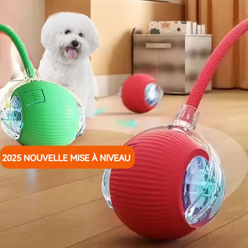 VIDA - DOG BALL