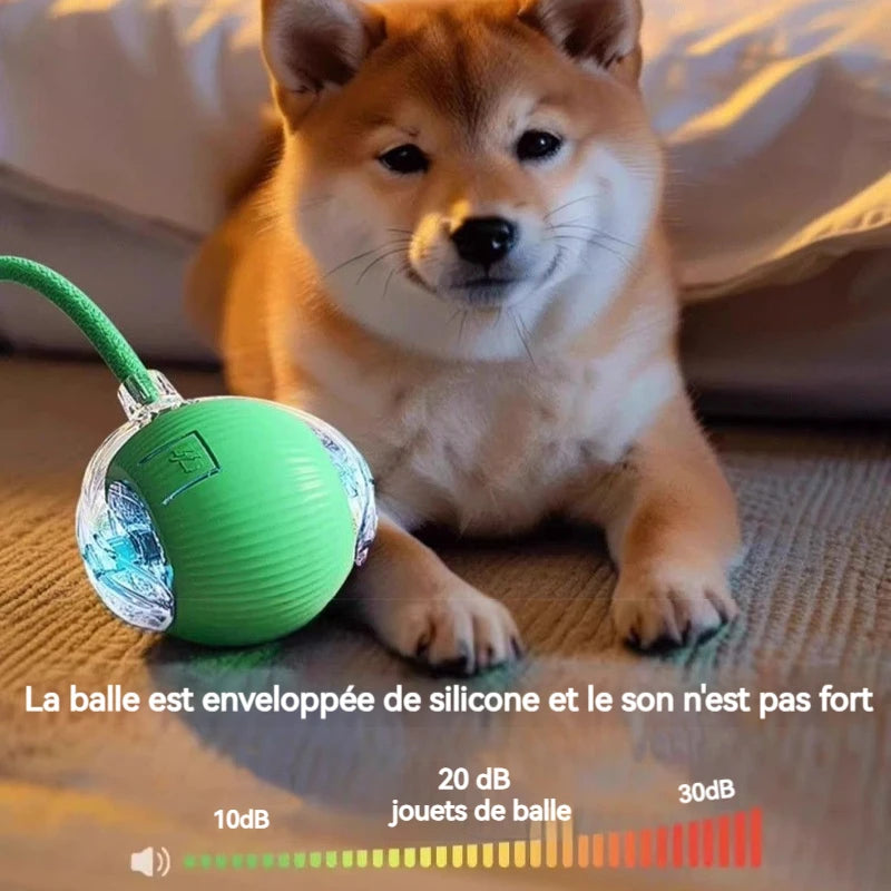 VIDA - DOG BALL
